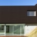 Фасадная панель из ДПК WOODVEX Венге купить в Электроуглях
