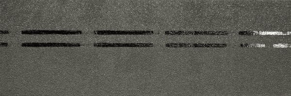 Коньково-карнизная черепица Docke Premium, авокадо купить в Электроуглях