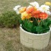 Цветник КАНЬОН купить в Электроуглях